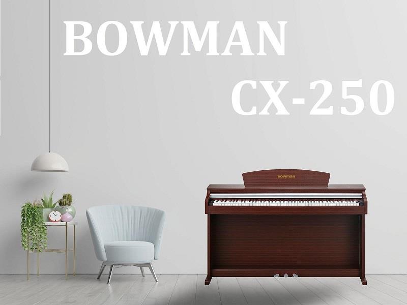BOWMAN CX-250 BR