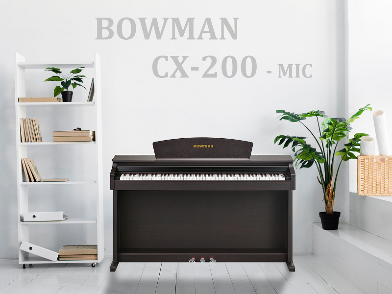 BOWMAN CX-200 SR - MIC Edition