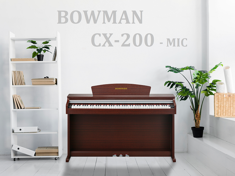 BOWMAN CX-200 BR - MIC Edition